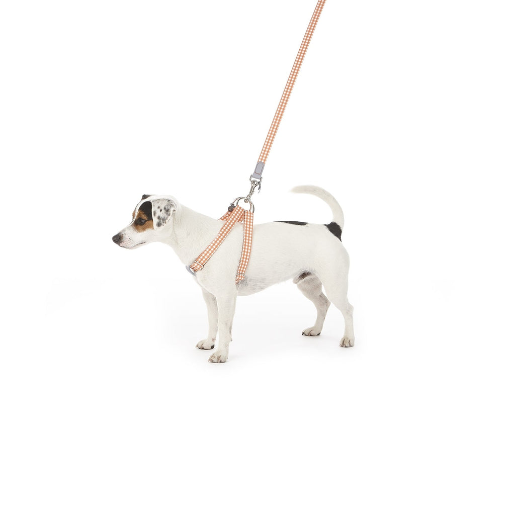 Ring Dog Harness Clara Check