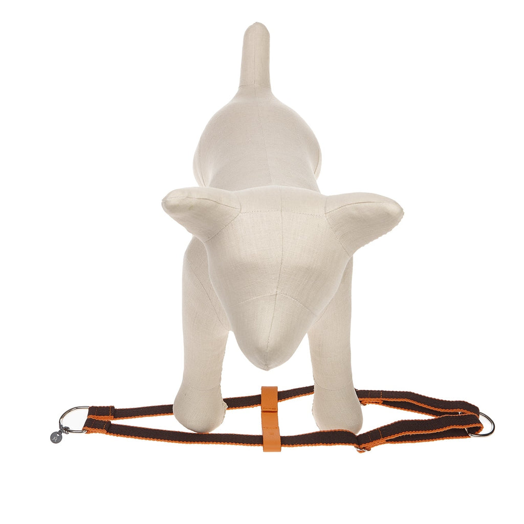 Ring Dog Harness Preppy