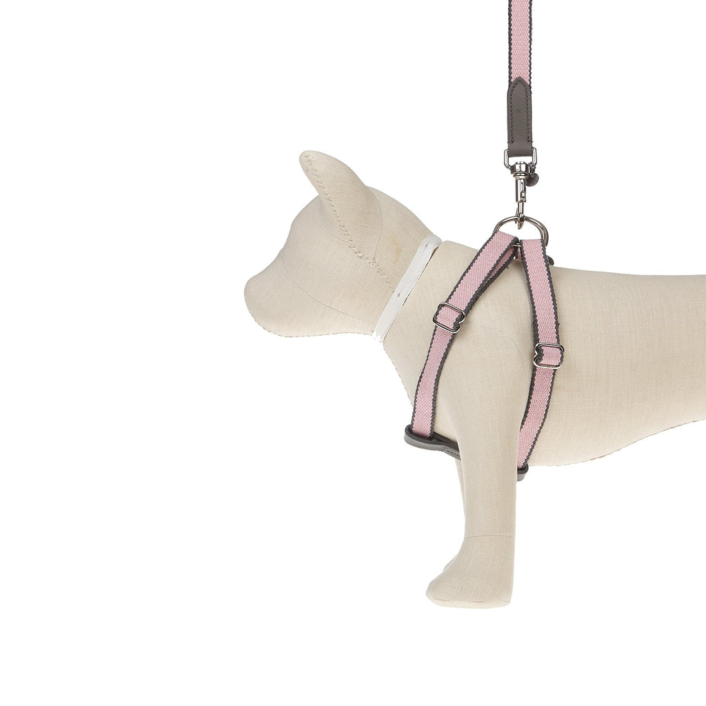Ring Dog Harness Preppy