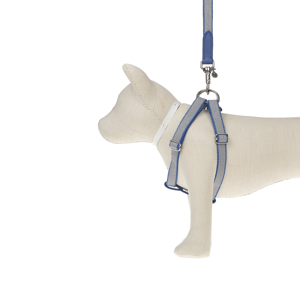 Ring Dog Harness Preppy