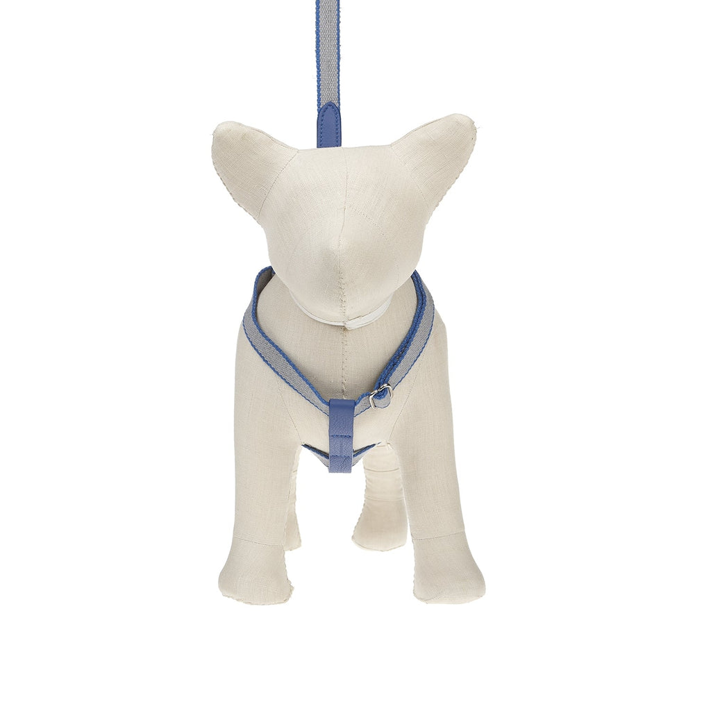 Ring Dog Harness Preppy