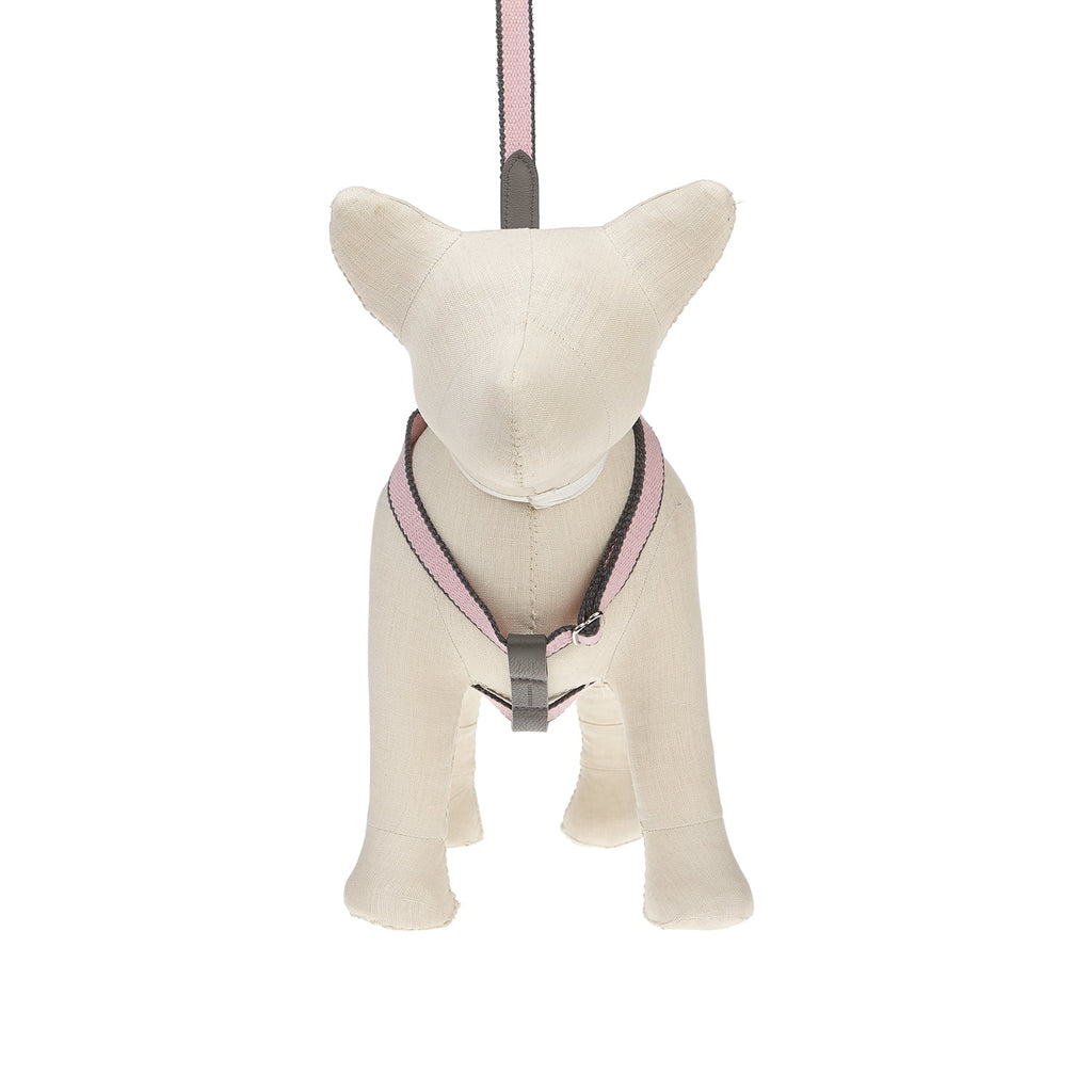 Ring Dog Harness Preppy