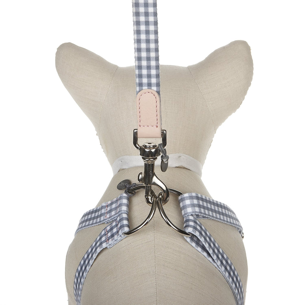 Ring Dog Harness Clara Check
