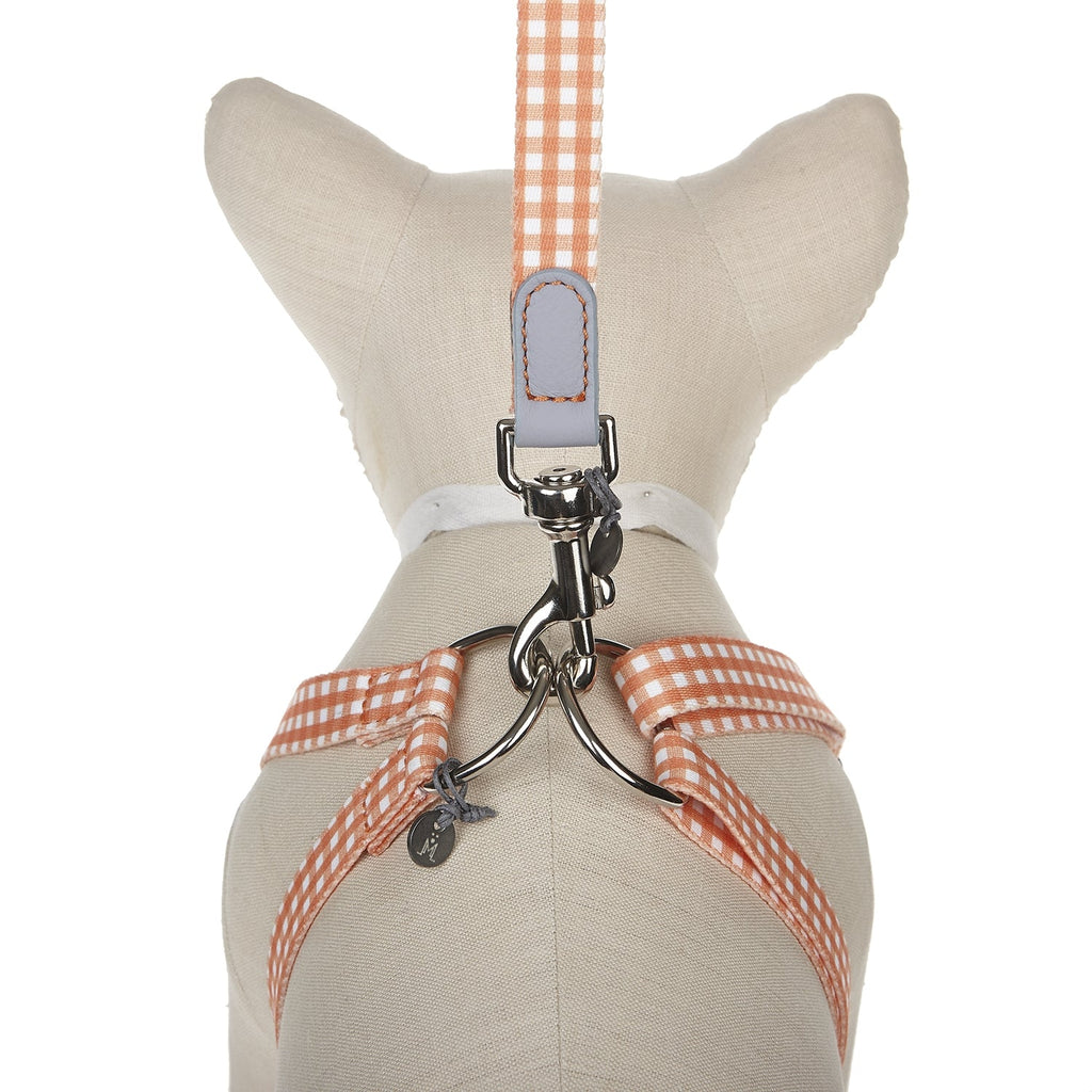 Ring Dog Harness Clara Check