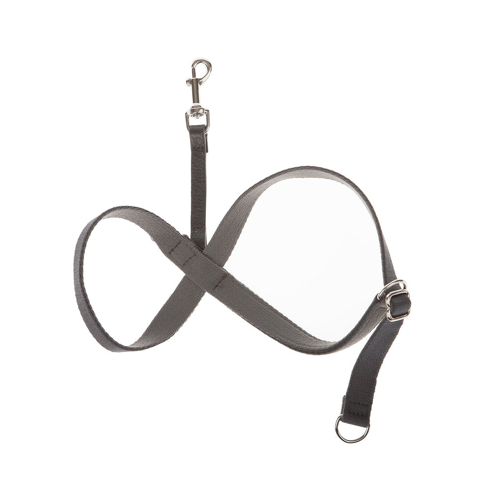 Follow My Lead - Head