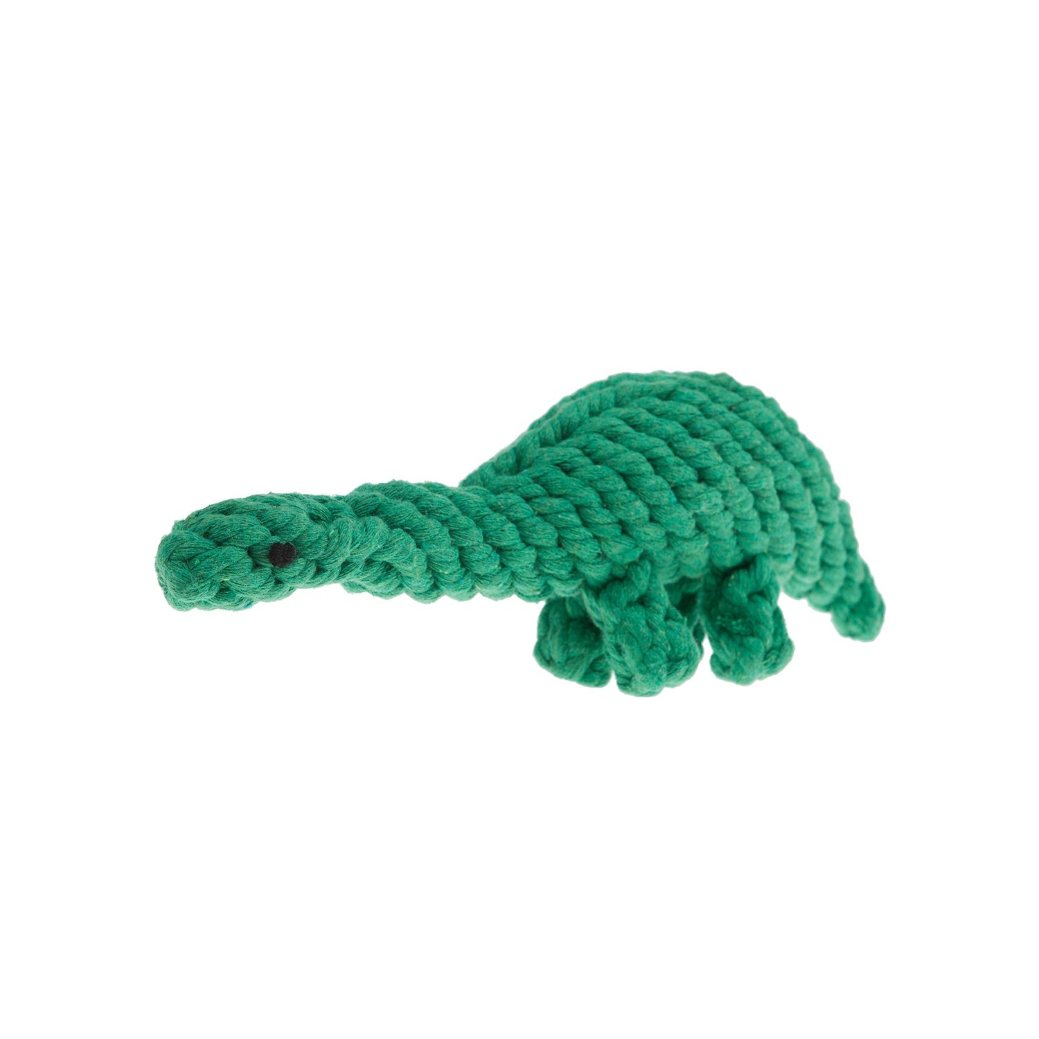 Dinosaur Rope Dog Toy